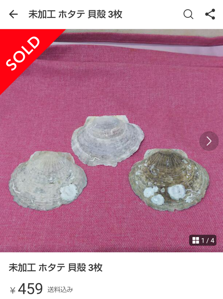 売れるホタテの貝殻
